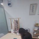 정캘리공방