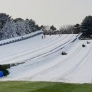 천안상록리조트 이미지