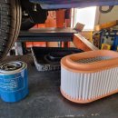 팀모터스 이미지