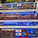 후포회대게 이미지