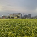 금촌체육공원 축구장 이미지