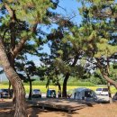 맹방비치캠핑장 이미지