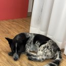 유화(오전) | 강남 취미미술 샤뜰리에 화실 유화 원데이클래스 후기│친구들과 그림대결 결과는 ?