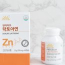썬라이프
