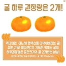 롱롱마카롱 네이버블로그