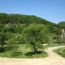 농암민박 이미지