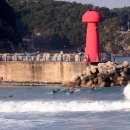 낭만 바다 이미지