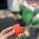 송지농장 이미지