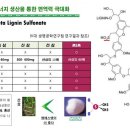 코로나 백신 개발여부와 그 해결책은~?? 이미지