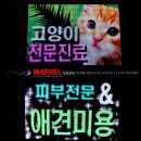 캥거루 동물병원 이미지