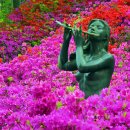 서동공원 이미지