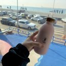 등대가 보이는 집 | 오이도 맛집 카페 등대빵 맛집 오이도명물등대빵 (주말 아이랑 방문후기 + 내돈내산 솔직후기)