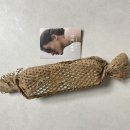 하루종일 기분조은 향: 인생템 키노히 KINOHI 편백 룸스프레이 후기