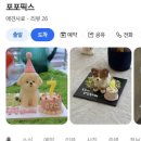 포포픽스 이미지