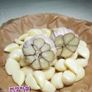 닭키우는 회장님 이미지