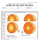 경기 지구과학 2차 수업실연 구상지 작성란 크기? 이미지