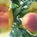 감곡면사무소 이미지