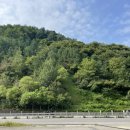 평송단월주유소 이미지