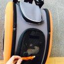 디제이 뭉 이미지