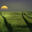 수미산정 이미지