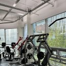 유일퍼스널트레이닝 이미지