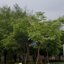 자은근린공원 이미지