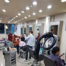 벨라헤어 이미지