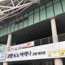 자유수영_고양체육관 주말 자유수영 후 찐 순두부 맛집갔다가 타르트먹으러 카페 가는 건강한 하루 후기