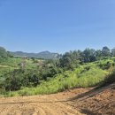 최영일 행정사사무소 이미지