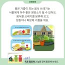 건강서점