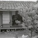 성신약방 이미지