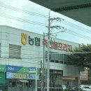 마트엘(L)식당 | 대구 동구 용계동 l 대구 축협 축산물프라자 동대구IC점 내돈내산 솔직후기
