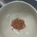 은혜약국 | 올인원 구충제 넥스가드 스펙트라 편식강아지 급여방법 약국구매 후기