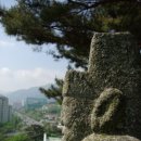 상석 농장 이미지