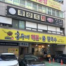 하버스케이트보드 | 대전 스케이트보드 입문 "하버스케이트보드"