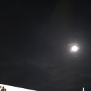 새벽매점 | 보홀 팡라오 공항 출국 후기 공항세 식당 매점 솔직 정리