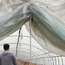 인덕농장 이미지