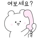 박가부대부산