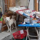 백구우체국 이미지