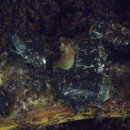 가평곤충농장 이미지