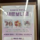 세르보니토