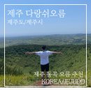 월랑봉 | [제주 동쪽 오름 추천] 다랑쉬오름(월랑봉) 여름 등산 소요시간 후기