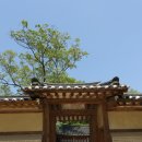 연경당 | [당일치기 서울여행] 비밀의 정원, 창덕궁 후원에 가다 : 조선후기 상류주택 &lt;연경당&gt;