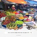 쿠킹클래스 | 호이안 에코 쿠킹클래스 후기 | 현지 시장 투어 바구니배 체험 포함