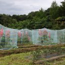 신진자원 이미지