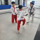 월드클래스 태권도장 이미지