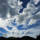 선운산농장 이미지