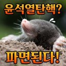 ＜국회의 탄핵소추권이 계엄의 명분이 될수 없다.＞＜윤석열 파면 된다.＞＜검찰은 즉시항고 즉각해라＞..(2025.03.13) 이미지