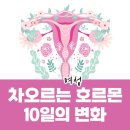 반짝반짝빛나라 | 차오르는 여성 호르몬 10일의 변화 갱년기 영양제 소녀연희(후기)