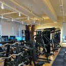 원 피티 이미지